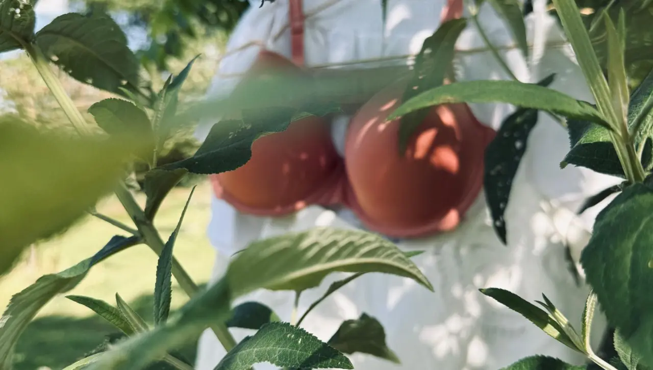 De Philotes bh van duurzame lingerie hangt buiten tussen groene bladeren